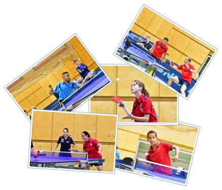 CollageKlein